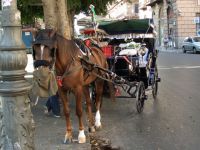 Palermo 06 Carrozza