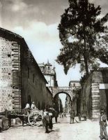 viagiulia