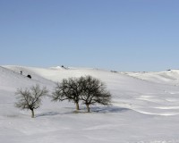snowscape