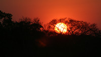 zambia2006 01