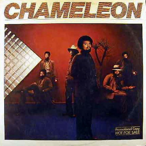 Click to zoom the image for : Chameleon-1979-Chameleon
