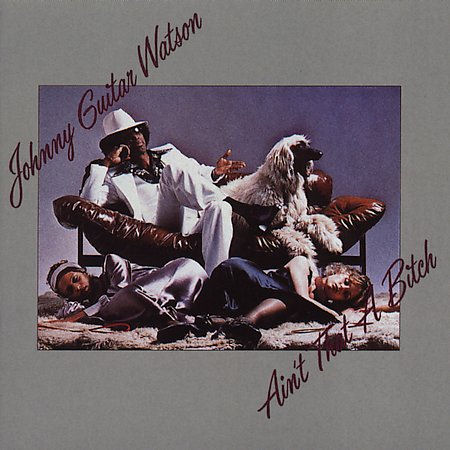 johnny guitar watson-1976-ain t that a bitch