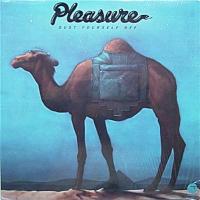 Click to zoom the image for : Pleasure-1975-Dust Yourself Off