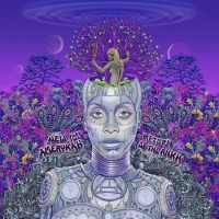 erykah badu-2010-new amerykah part two (return of the ankh)