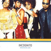 incognito-2003-who needs love