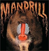 mandrill-1970-mandrill